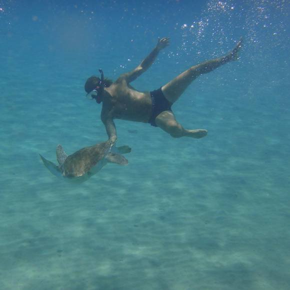 Meet your Posher, Karl - Picture 1 of 1